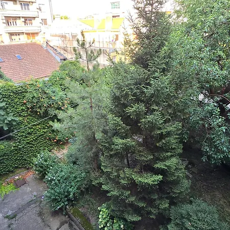Azzurro Belgrade
